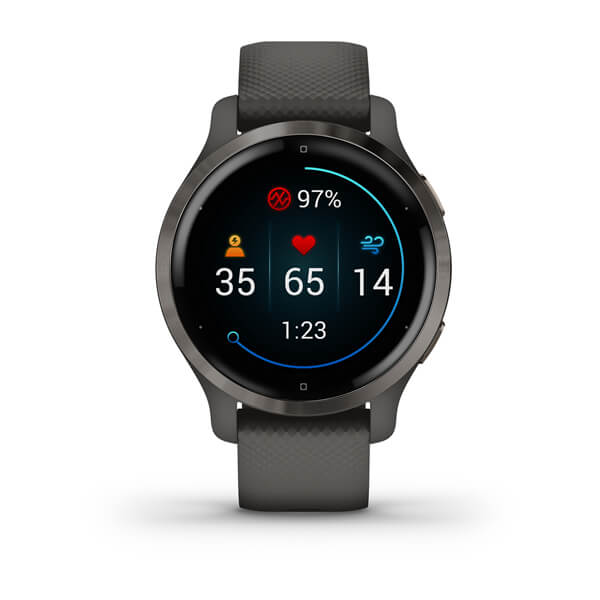 Смарт-часы Garmin Venu 2S, Wi-Fi, Grey/Slate с GPS (010-02429-10)
