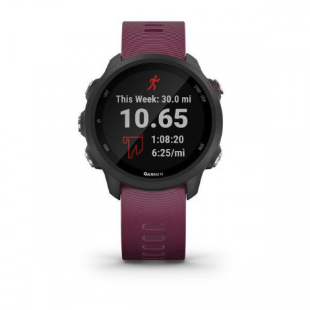 Спортивные часы Garmin Forerunner 245 GPS EU Black/Merlot (010-02120-11)