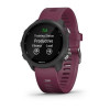 Спортивные часы Garmin Forerunner 245 GPS EU Black/Merlot (010-02120-11)