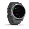 Спортивные часы Garmin VIVOACTIVE 4 серые с серебристым безелем