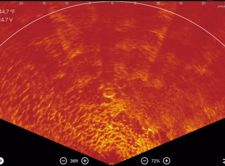 Датчик эхолота Accuphy Ping Live Sonar WI-FI