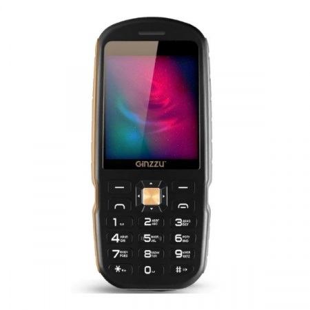 Защищенный телефон Ginzzu R1D Black