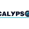 Подводные видеокамеры Calypso Подводные видеокамеры Calypso