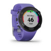 Спортивные часы Garmin Forerunner 45S Ирис