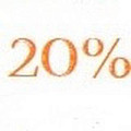 20% 20%