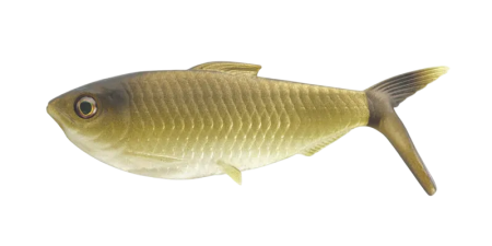 Мягкая приманка 13FISHING The Dine Swimbait 4,25"/ GR (3шт./уп.)