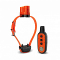 Устройства дрессировки и слежения за собаками