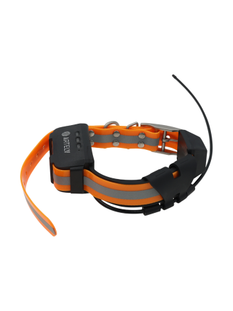 Дополнительный GPS-ошейник ARTELV COLLAR