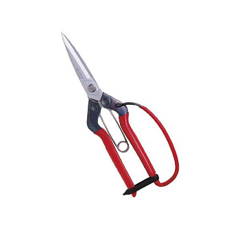 Ножницы Chikamasa T-710GDX Ножницы Chikamasa T-710GDX