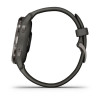 Смарт-часы Garmin Venu 2S, Wi-Fi, Grey/Slate с GPS (010-02429-10)